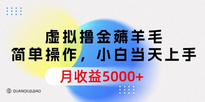 (9864期)虚拟撸金薅羊毛，简单操作，小白当天上手，月收益5000+-小艾网创