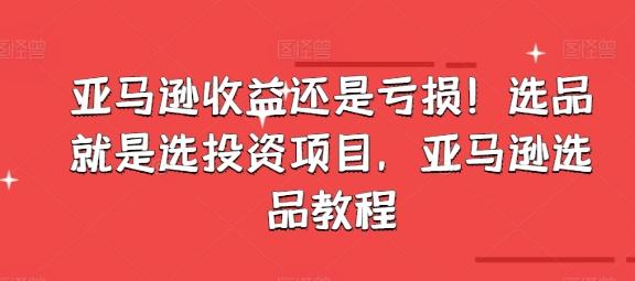 亚马逊收益还是亏损！选品就是选投资项目，亚马逊选品教程-小艾网创