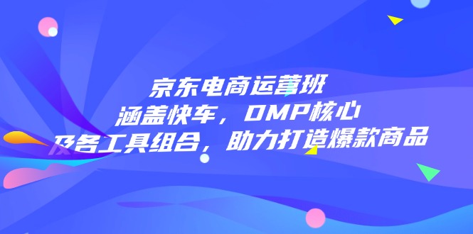 京东电商运营班：涵盖快车，DMP核心及各工具组合，助力打造爆款商品-小艾网创