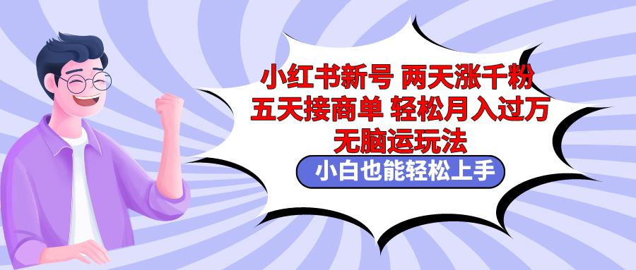 小红书新号两天涨千粉五天接商单轻松月入过万 无脑搬运玩法 小白也能轻…-小艾网创