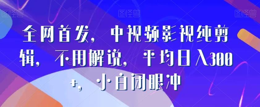 全网首发，中视频影视纯剪辑，不用解说，平均日入300+，小白闭眼冲-小艾网创
