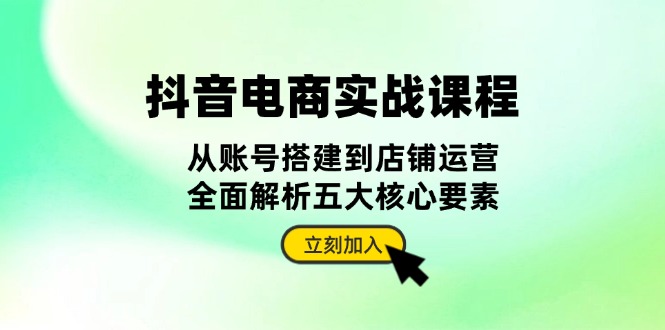 抖音 电商实战课程：从账号搭建到店铺运营，全面解析五大核心要素-小艾网创
