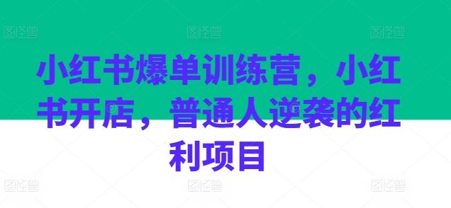 小红书爆单训练营，小红书开店，普通人逆袭的红利项目-小艾网创