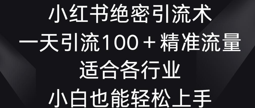 小红书绝密引流术，一天引流100+精准流量，适合各个行业，小白也能轻松上手【揭秘】-小艾网创