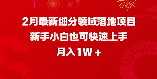 2月最新细分领域落地项目，新手小白也可快速上手，月入1W-小艾网创