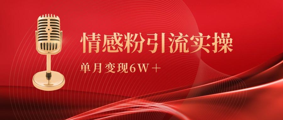 (9473期)单月变现6w+，情感粉引流变现实操课-小艾网创