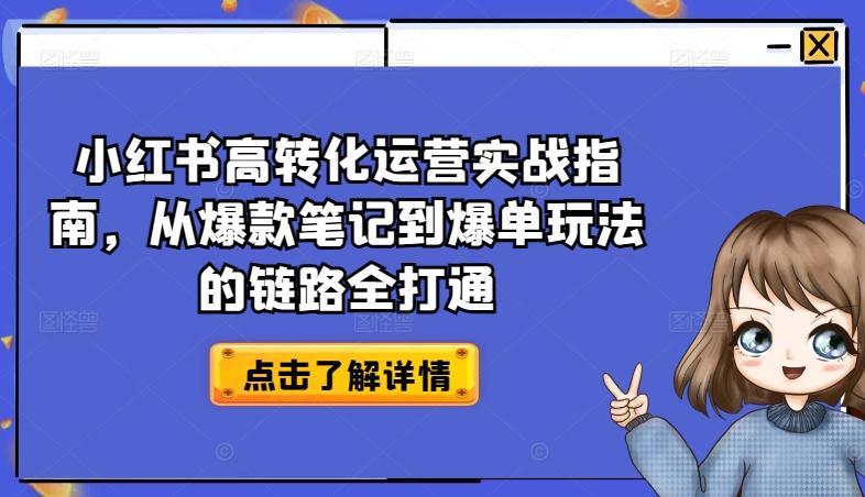 小红书高转化运营实战指南，从爆款笔记到爆单玩法的链路全打通-小艾网创