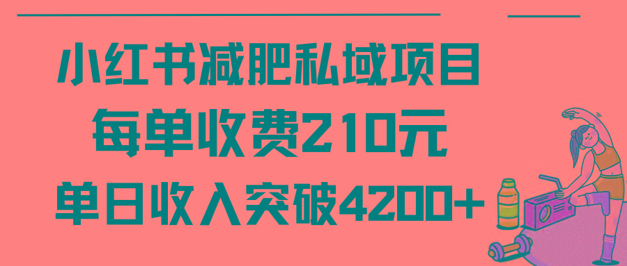 (9466期)小红书减肥私域项目每单收费210元单日成交20单，最高日入4200+-小艾网创