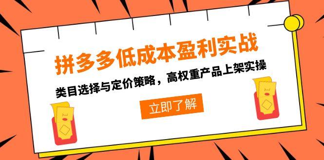 拼多多低成本盈利实战，类目选择与定价策略，高权重产品上架实操-小艾网创