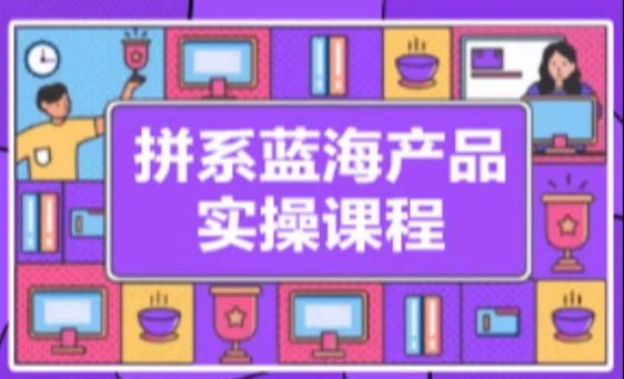 拼系冷门蓝海产品实操课程，从注册店铺到选品上架到流量维护环环相扣-小艾网创