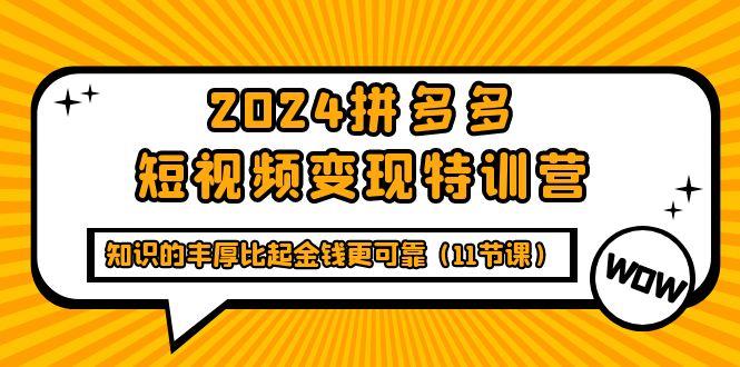 (9817期)2024拼多多短视频变现特训营，知识的丰厚比起金钱更可靠(11节课)-小艾网创