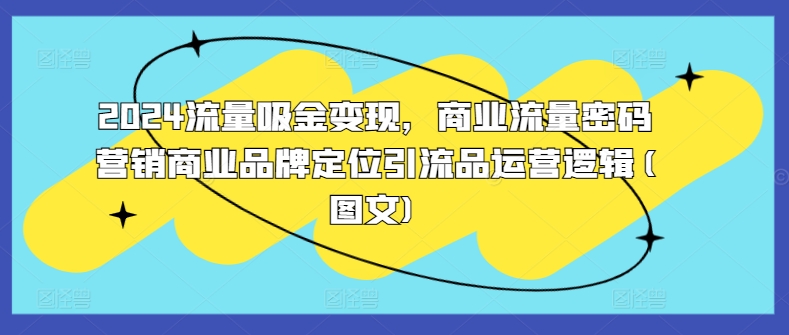 2024流量吸金变现，商业流量密码营销商业品牌定位引流品运营逻辑(图文)-小艾网创