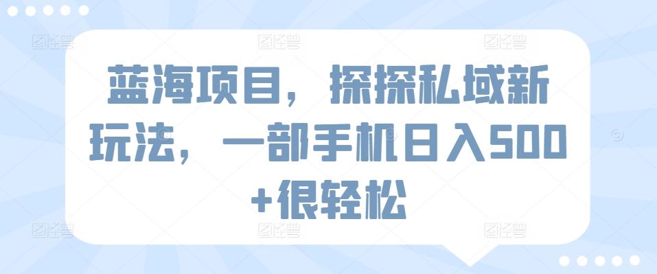 蓝海项目，探探私域新玩法，一部手机日入500+很轻松【揭秘】-小艾网创