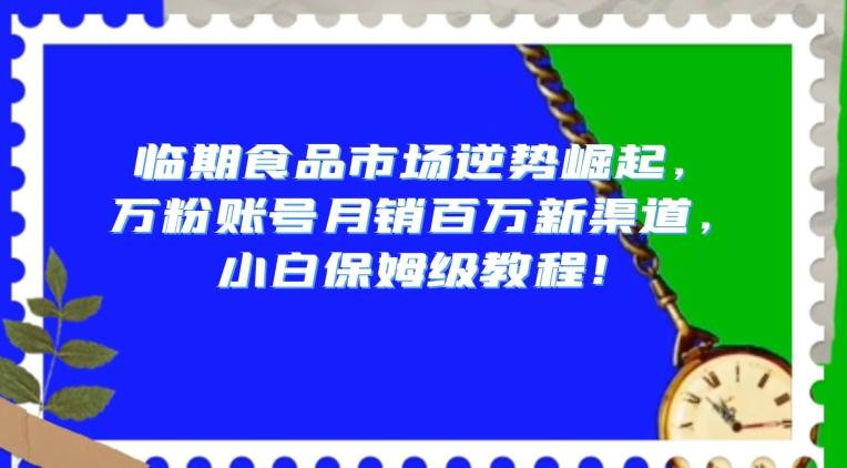 临期食品市场逆势崛起，万粉账号月销百万新渠道，小白保姆级教程【揭秘】-小艾网创