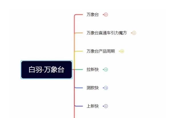 白羽·直引万搜索全篇，从0-1，多个类目实操经验总结付费-小艾网创