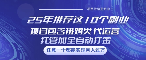 25年推荐这10个副业项目包含褂鸡类、代运营托管类、全自动打金类【揭秘】-小艾网创