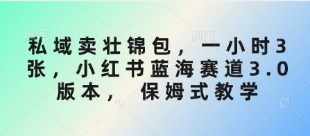 私域卖壮锦包，一小时3张，小红书蓝海赛道3.0版本， 保姆式教学-小艾网创