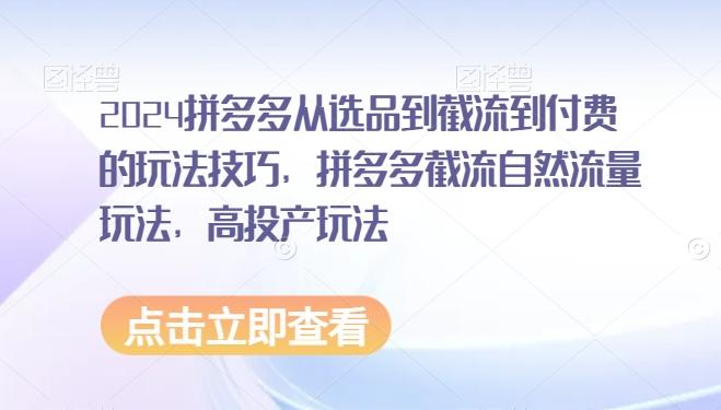 2024拼多多从选品到截流到付费的玩法技巧，拼多多截流自然流量玩法，高投产玩法-小艾网创