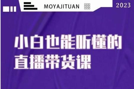 大威本威·能听懂的直播带货课，小白也能听懂，20节完整-小艾网创