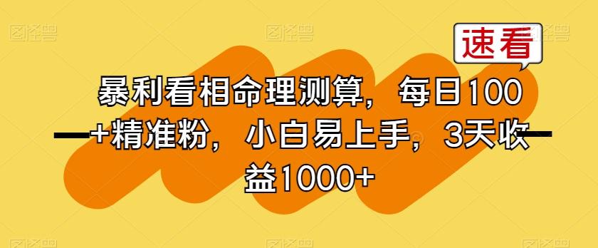 暴利看相命理测算，每日100+精准粉，小白易上手，3天收益1000+【揭秘】-小艾网创