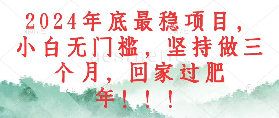 2024年底最稳项目，小白无门槛，坚持做三个月，回家过肥年！！！-小艾网创