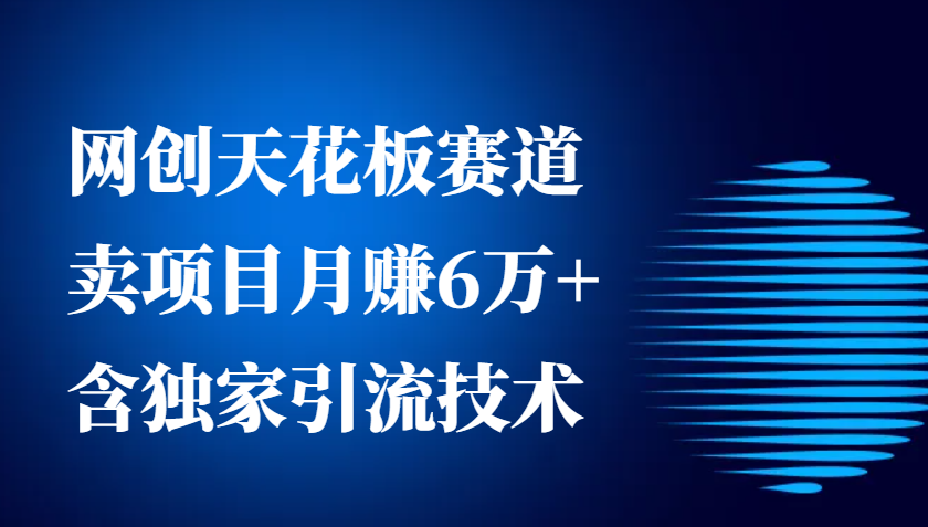 网创天花板赛道，卖项目月赚6万+，含独家引流技术(共26节课)-小艾网创