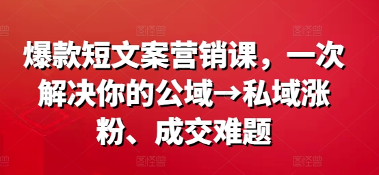 爆款短文案营销课，一次解决你的公域→私域涨粉、成交难题-小艾网创