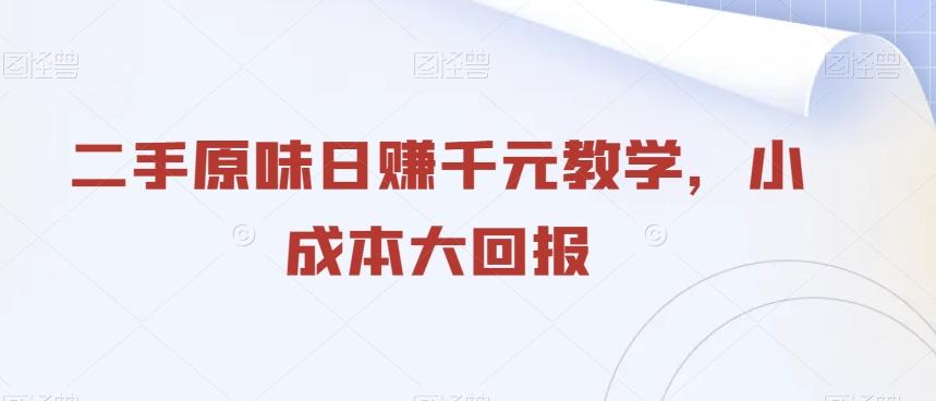 二手原味日赚千元教学，小成本大回报-小艾网创