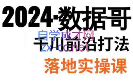 数据哥·2024年千川前沿打法落地实操课-小艾网创