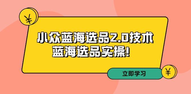 拼多多培训第33期：小众蓝海选品2.0技术-蓝海选品实操！-小艾网创