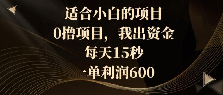 适合小白的项目，0撸项目，我出资金，每天15秒，一单利润600-小艾网创