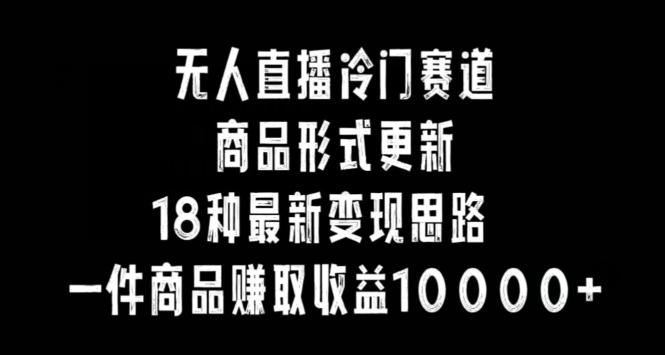 无人直播冷门赛道，商品形式更新，18种变现思路，一件商品赚取收益10000+【揭秘】-小艾网创