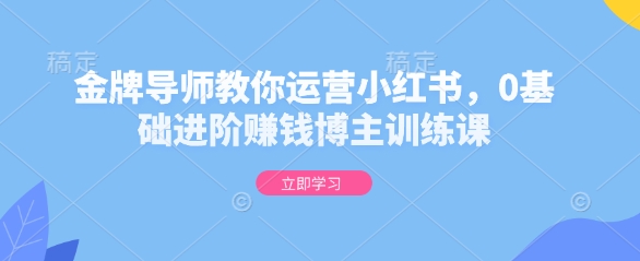 金牌导师教你运营小红书，0基础进阶赚钱博主训练课-小艾网创