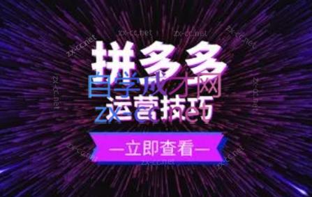 力辛电商·拼多多强付费店群玩法-小艾网创