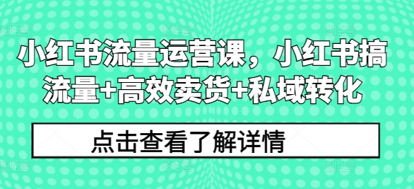 小红书流量运营课，小红书搞流量+高效卖货+私域转化-小艾网创