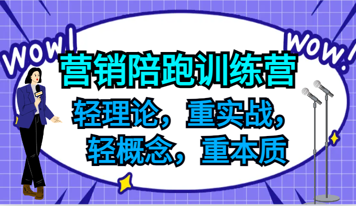 营销陪跑训练营，轻理论，重实战，轻概念，重本质，适合中小企业和初创企业的老板-小艾网创