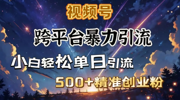 跨平台暴力引流，私域完美闭环，日引500+精准创业粉-小艾网创