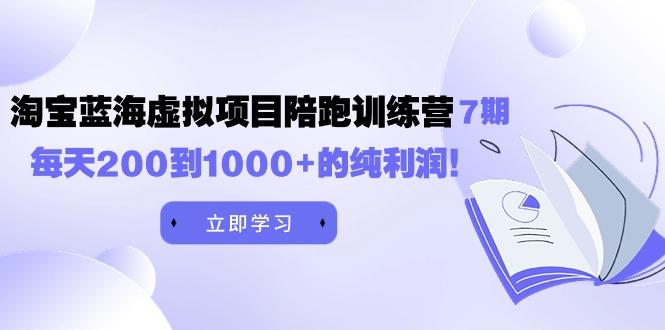 (9541期)黄岛主《淘宝蓝海虚拟项目陪跑训练营7期》每天200到1000+的纯利润-小艾网创