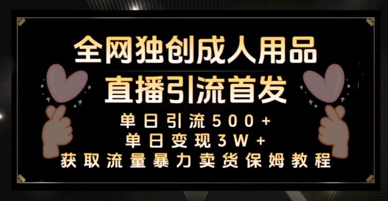 全网独创真人主播+无人直播单日引流500+，橙人用品暴力卖货单日变现3W+保姆似教学2.0【揭秘】-小艾网创