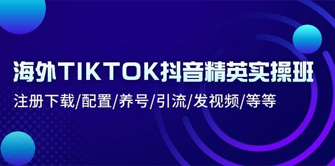 海外TIKTOK抖音精英实操班：注册下载/配置/养号/引流/发视频/等等-小艾网创