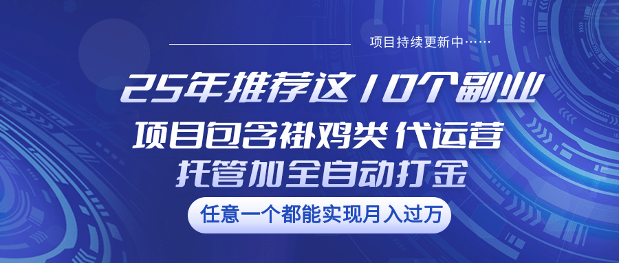 25年推荐这10个副业 项目包含褂鸡类、代运营托管类、全自动打金类-小艾网创