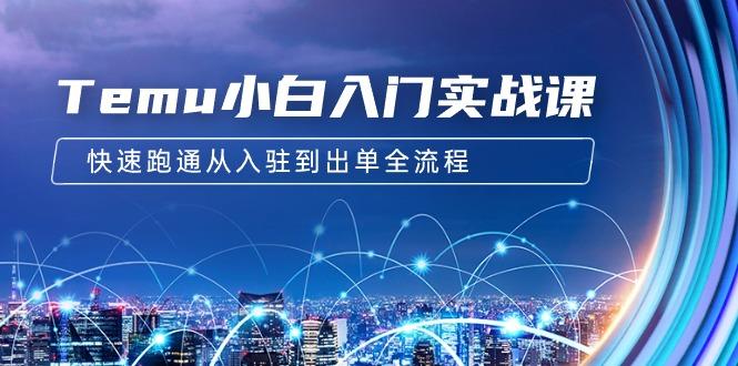 (9295期)Temu小白入门实战课：跨境拼多多电商培训 快速跑通从入驻到出单全流程-12节-小艾网创