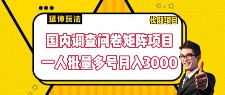 国内调查问卷矩阵项目，一人批量多号月入3000【揭秘】-小艾网创