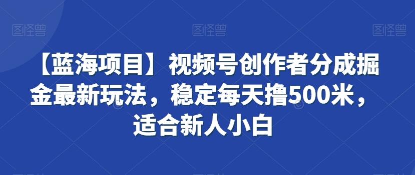 【蓝海项目】视频号创作者分成掘金最新玩法，稳定每天撸500米，适合新人小白【揭秘】-小艾网创