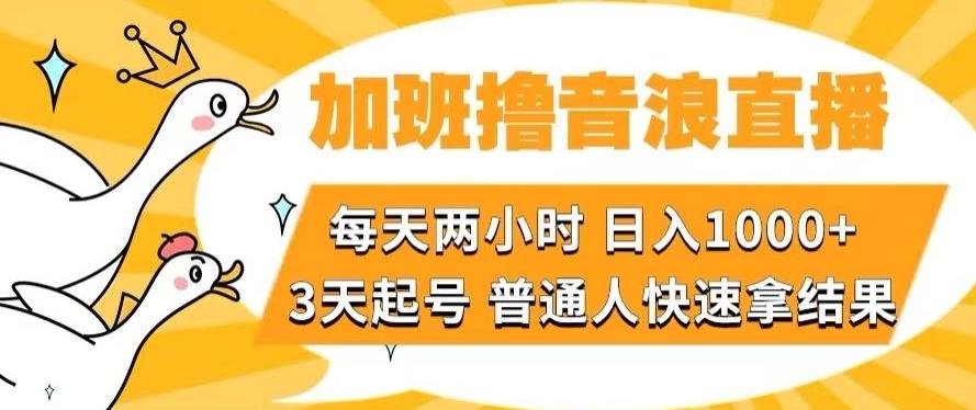 加班撸音浪直播，每天两小时，日入1000+，直播话术才3句，3天起号，普通人快速拿结果【揭秘】-小艾网创