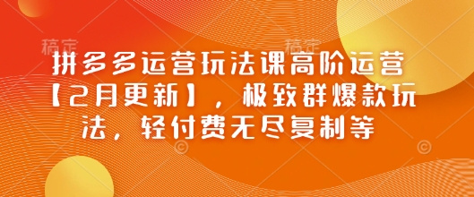 拼多多运营玩法课高阶运营【2月更新】，极致群爆款玩法，轻付费无尽复制等-小艾网创