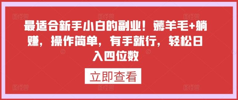 最适合新手小白的副业！薅羊毛+躺赚，操作简单，有手就行，轻松日入四位数【揭秘】-小艾网创