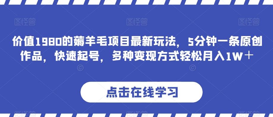 价值1980的薅羊毛项目最新玩法，5分钟一条原创作品，快速起号，多种变现方式轻松月入1W＋【揭秘】-小艾网创