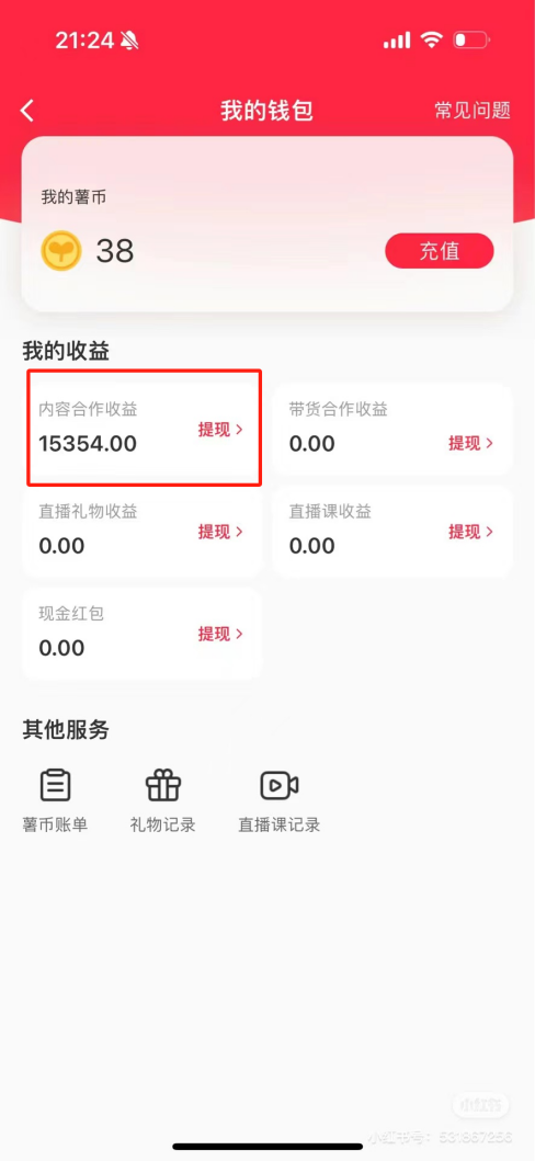热门评论引爆小红书流量，作品制作简单，广告接到手软，月入过万不是梦-小艾网创