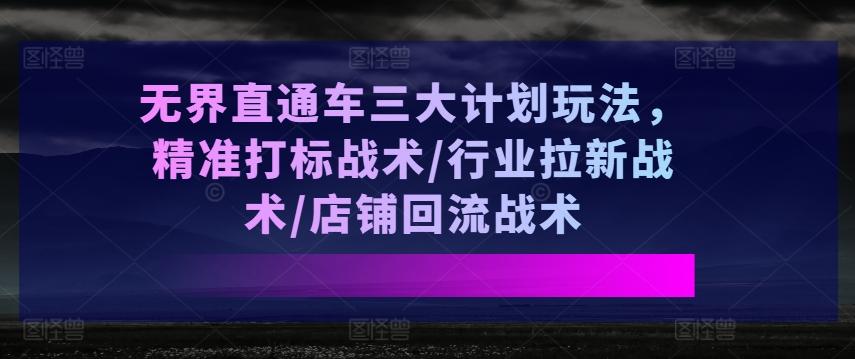 无界直通车三大计划玩法，精准打标战术/行业拉新战术/店铺回流战术-小艾网创